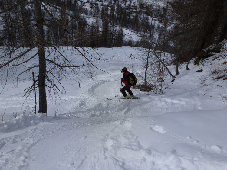 Soleglio_bue_Q_2413_Chialvetta_13_69